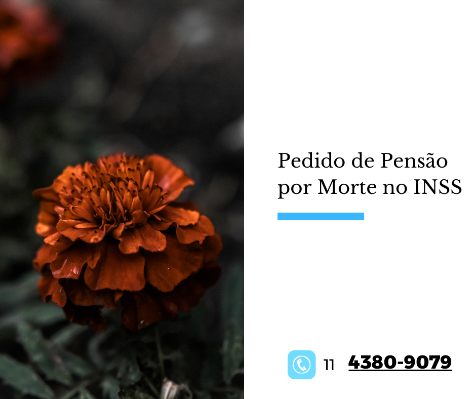 Pedido de Pensão por Morte no INSS
